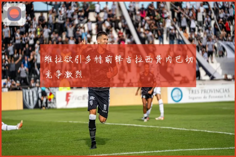 维拉欲引多特前锋吉拉西费内巴切竞争激烈