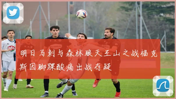 明日马刺与森林狼天王山之战福克斯因脚踝酸痛出战存疑